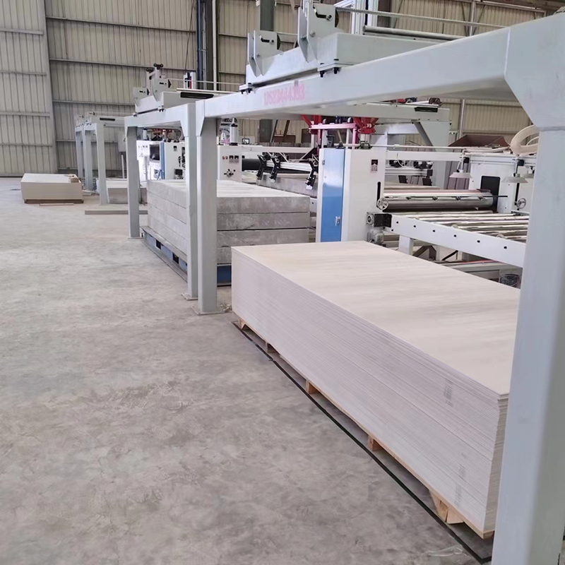 长兴金丰建材有限公司用码垛机